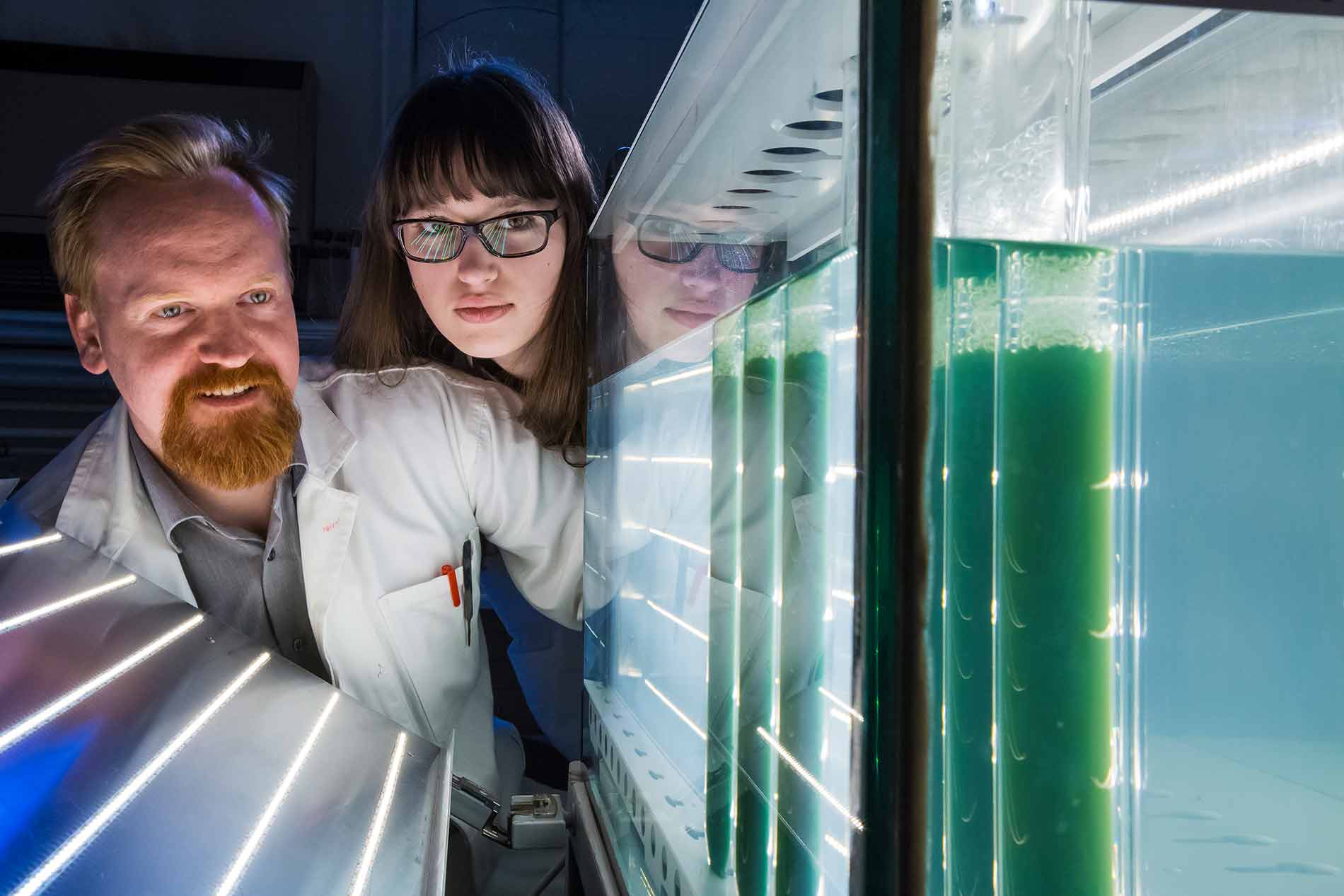 Zwei Wissenschaftlerinnen schauen sich Algen an