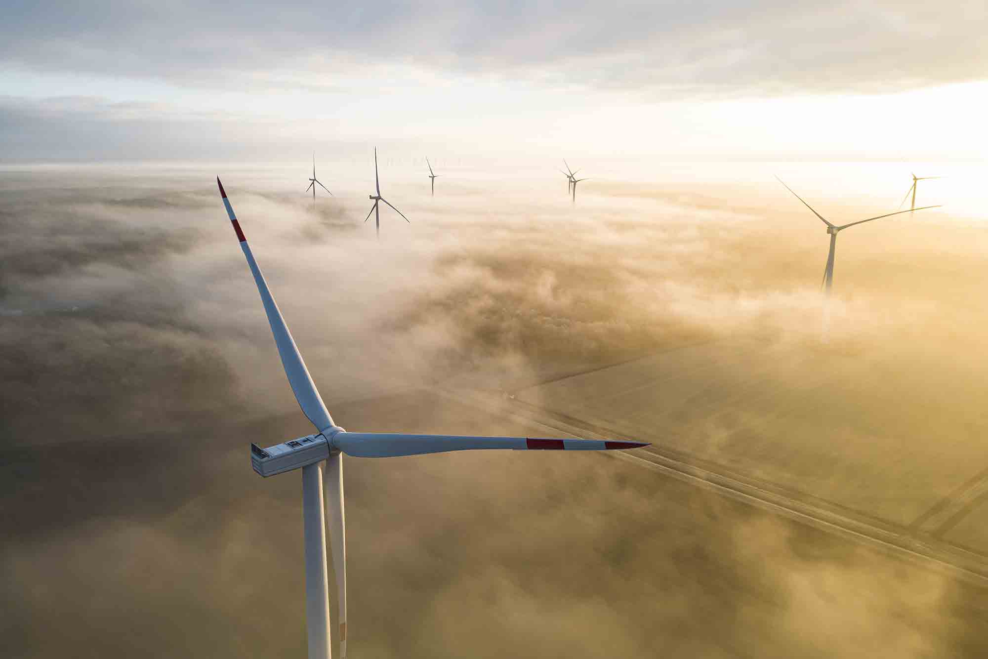 Windpark im Nebel bei Sonnenaufgang